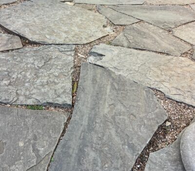 IMG-20260309-WA0423