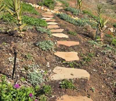 pavers2